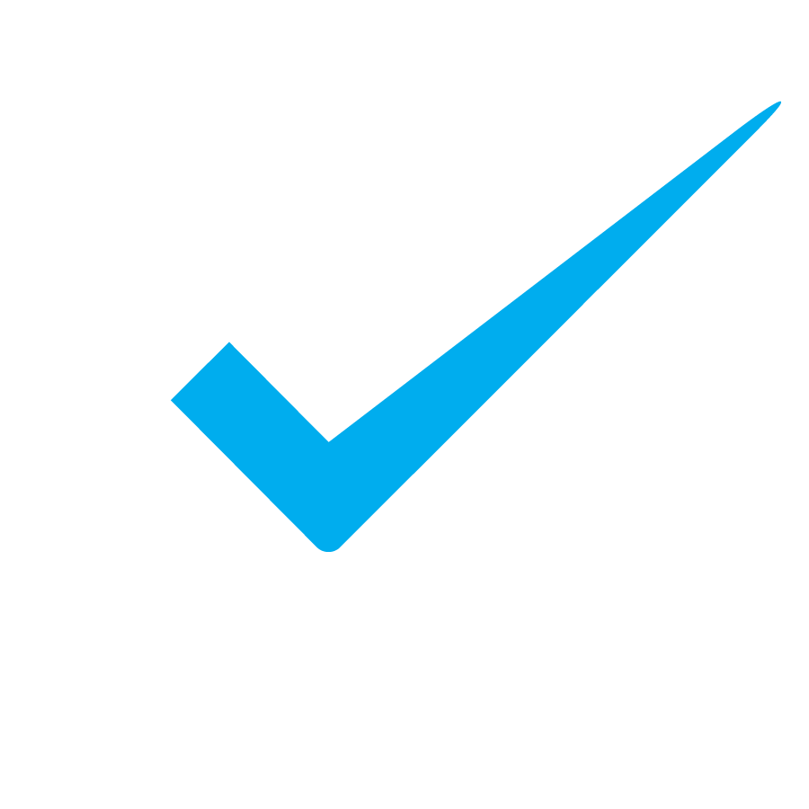 Automotive vehicle servicing repair wof checks automotive